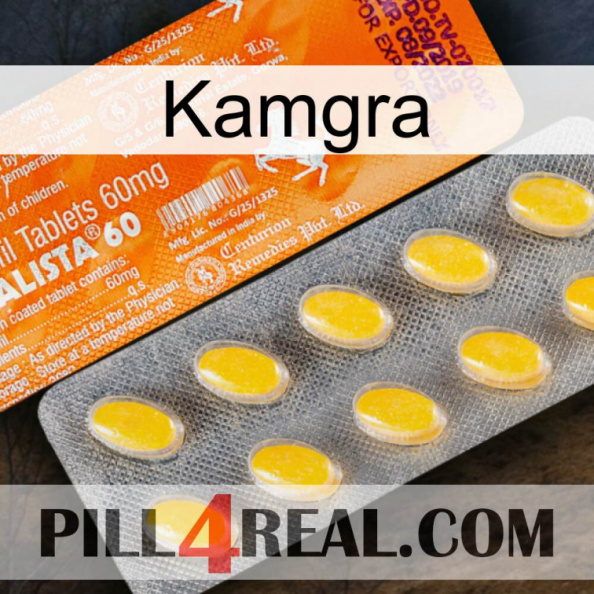 Kamgra new05.jpg